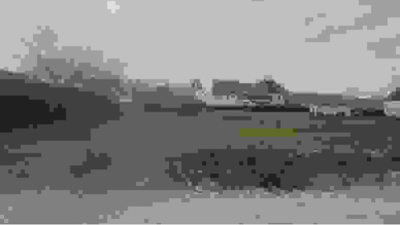 thumbnail_20230307_084138 (1).jpg