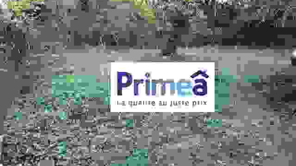 terrain auxerre2.jpg