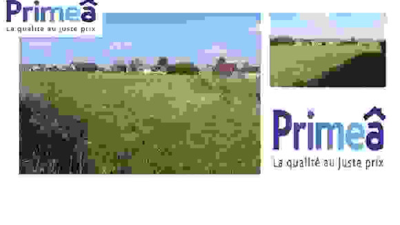 terrain ligniere.jpg