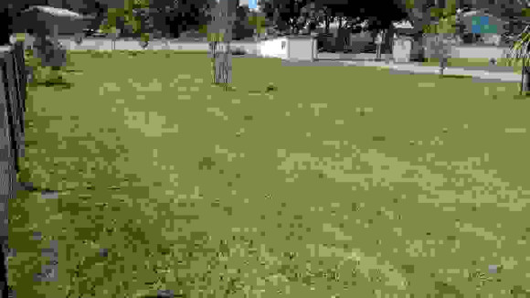 Terrain Cédric CAZAUX 1.jpg