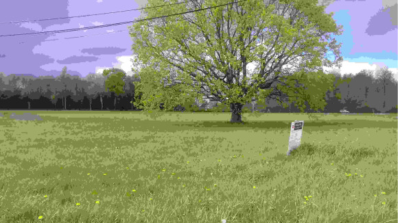 Terrain Negocim Fondettes 1.jpg