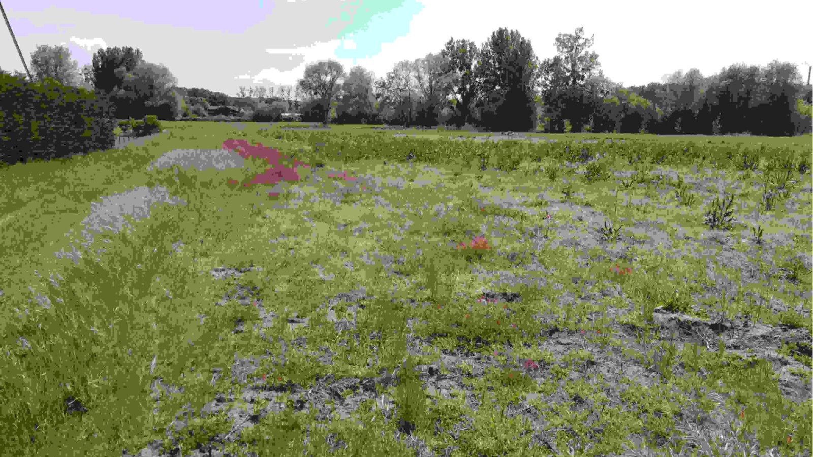 Terrain constructible de 469m2 à Allonnes