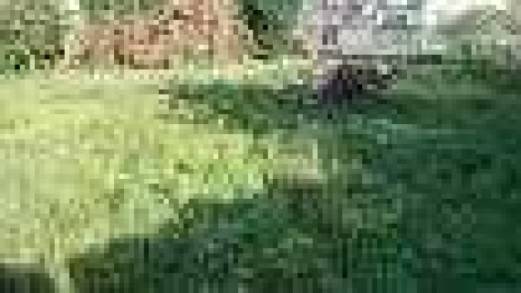 Meung-sur-loire 356m².jpg