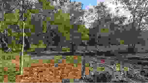 TERRAIN MIMIZAN CENTURY 21.jpg