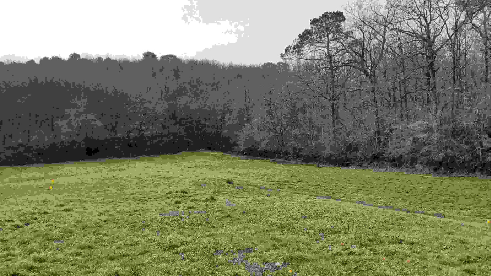 Terrain constructible de 1100m2 à Aire-sur-l'Adour