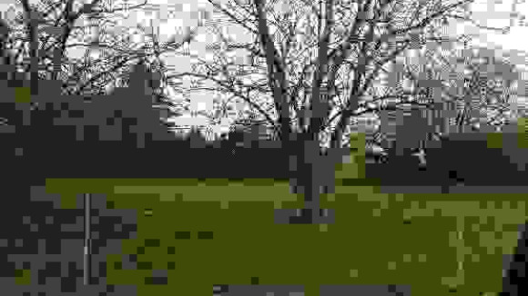 image0000021.jpg