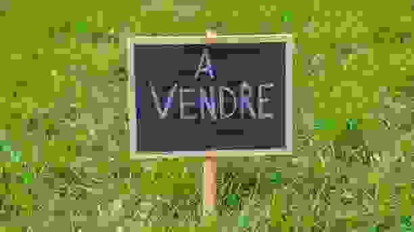 PHOTO TERRAIN A VENDRE NEUTRE.jpg