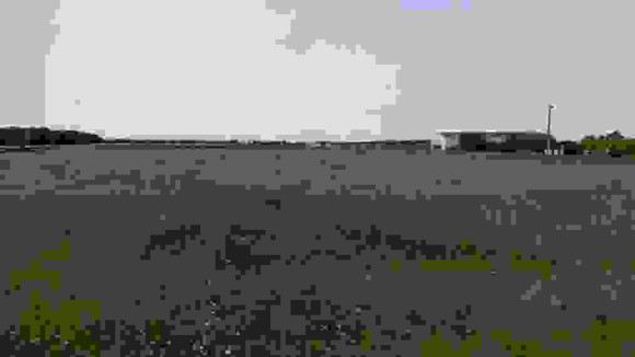 Terrain Magny sur Tille.JPG