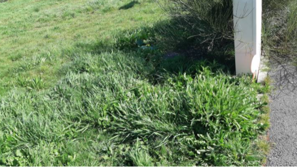 Terrain viabilisé.png