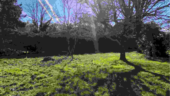 terrain moulis 700.jpg