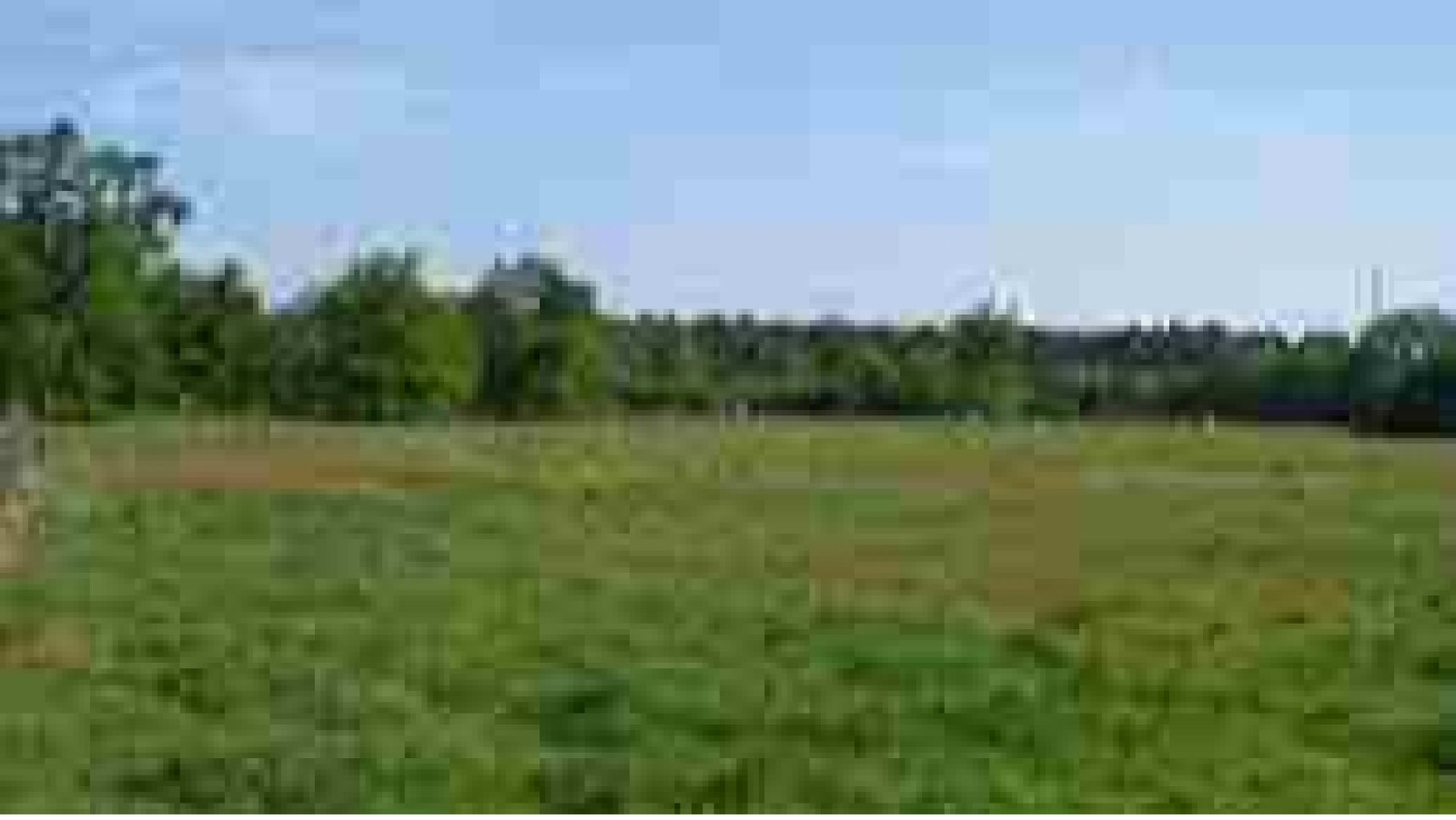 Terrain constructible de 650m2 à La Chapelle-Saint-Mesmin