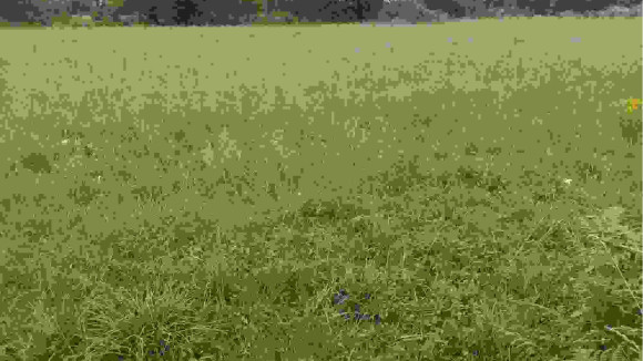 saint domineuc 3.jpg