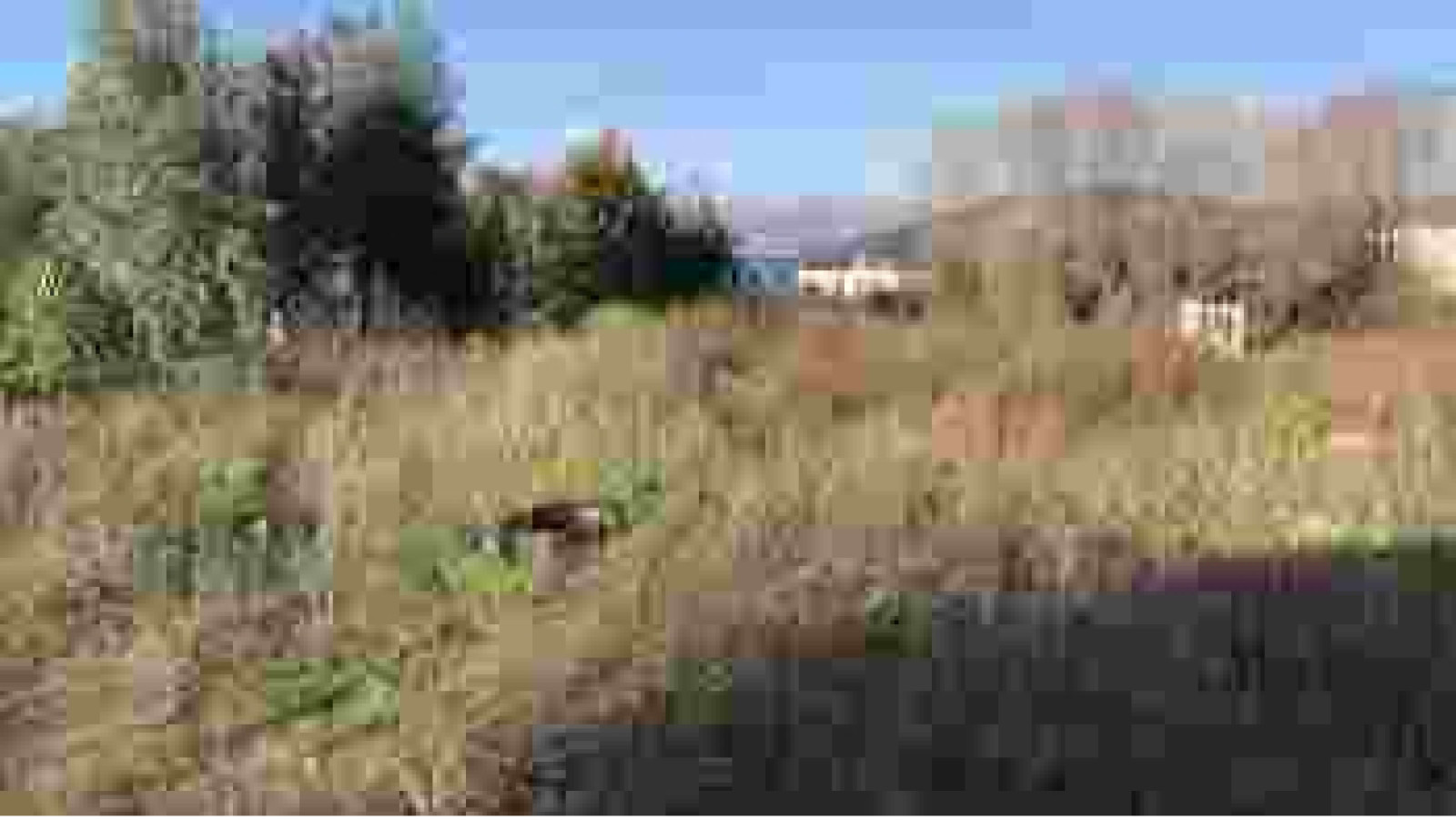 Terrain constructible de 680m2 à Mimizan