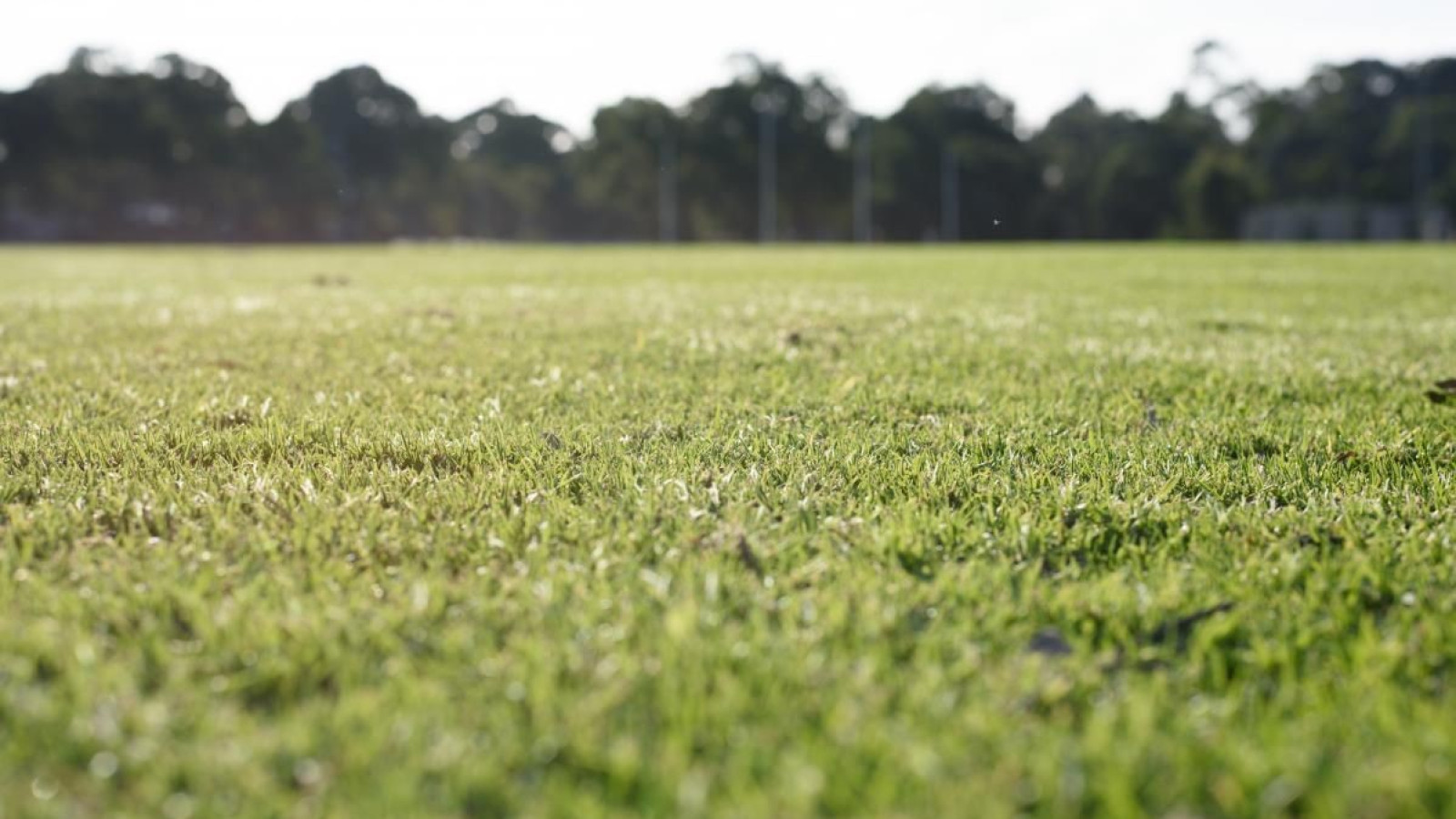 Terrain constructible de 501m2 à Neuville-de-Poitou