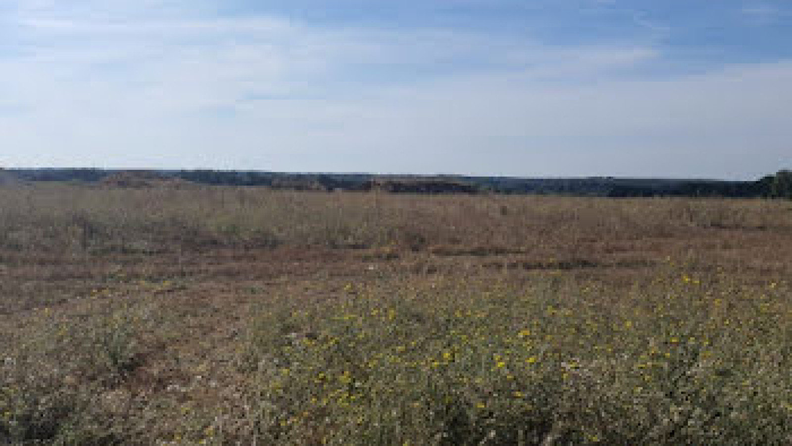 Terrain constructible de 1438m2 à Quinçay